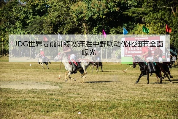 JDG世界赛前训练赛连胜中野联动优化细节全面曝光